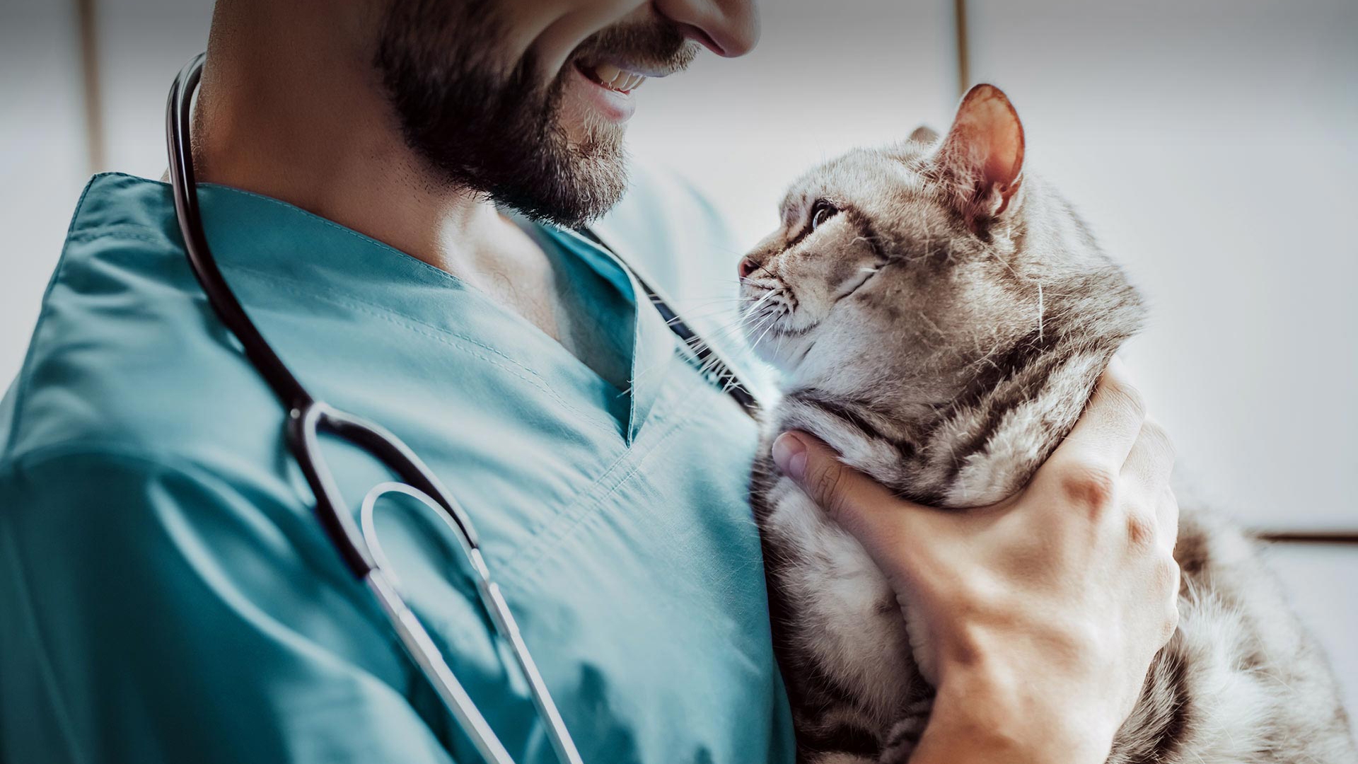 Sığacık Veteriner